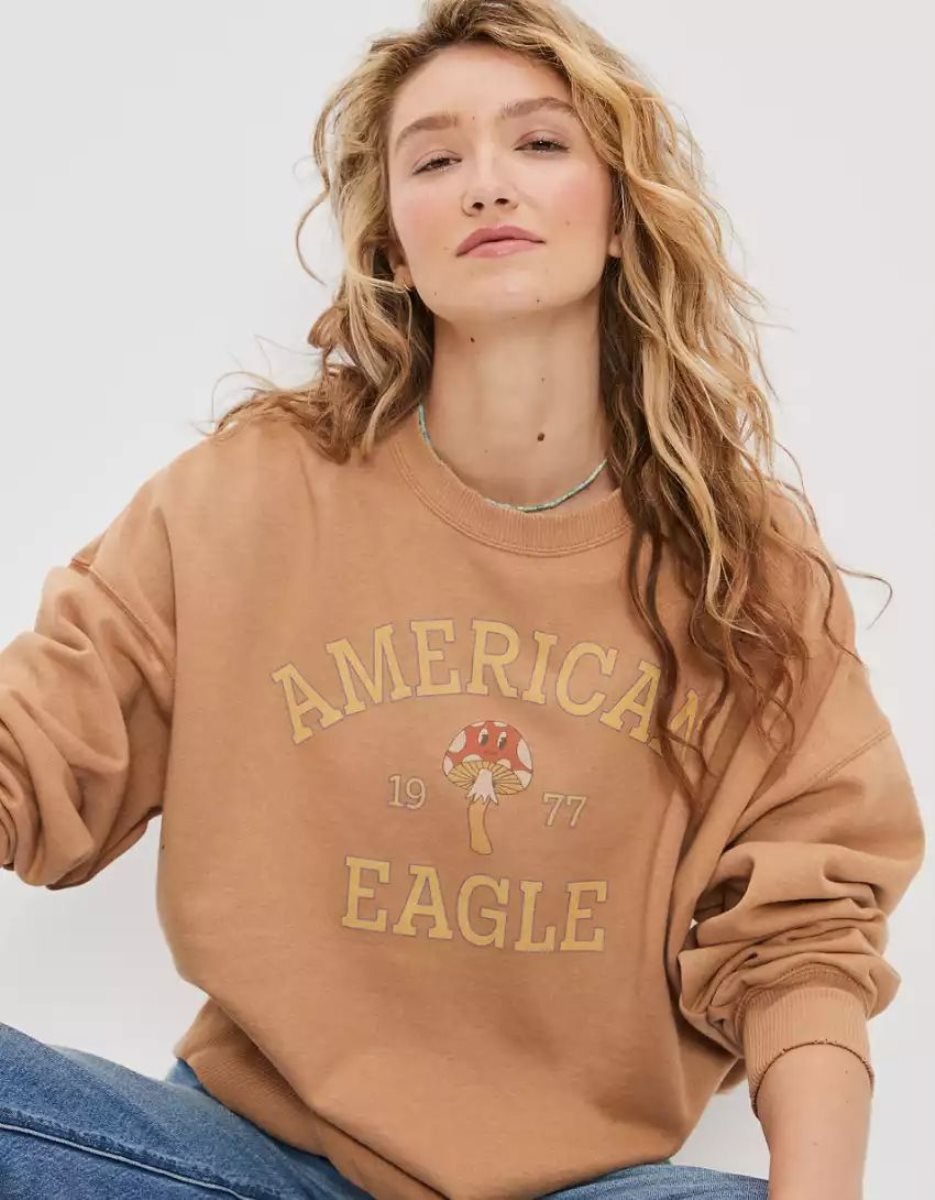 T Shirt Graphique American Eagle AE Oversized Marron Femme | OMN-04521378